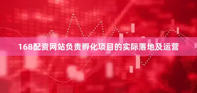 168配资网站负责孵化项目的实际落地及运营