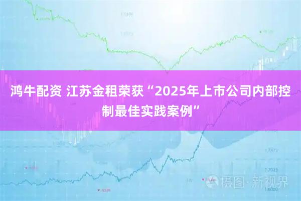 鸿牛配资 江苏金租荣获“2025年上市公司内部控制最佳实践案例”