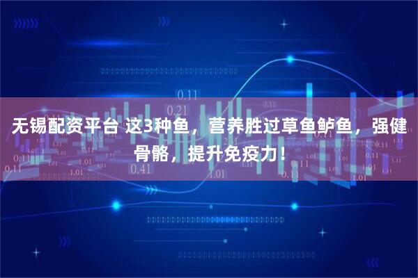 无锡配资平台 这3种鱼，营养胜过草鱼鲈鱼，强健骨骼，提升免疫力！