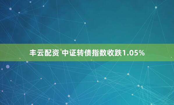 丰云配资 中证转债指数收跌1.05%